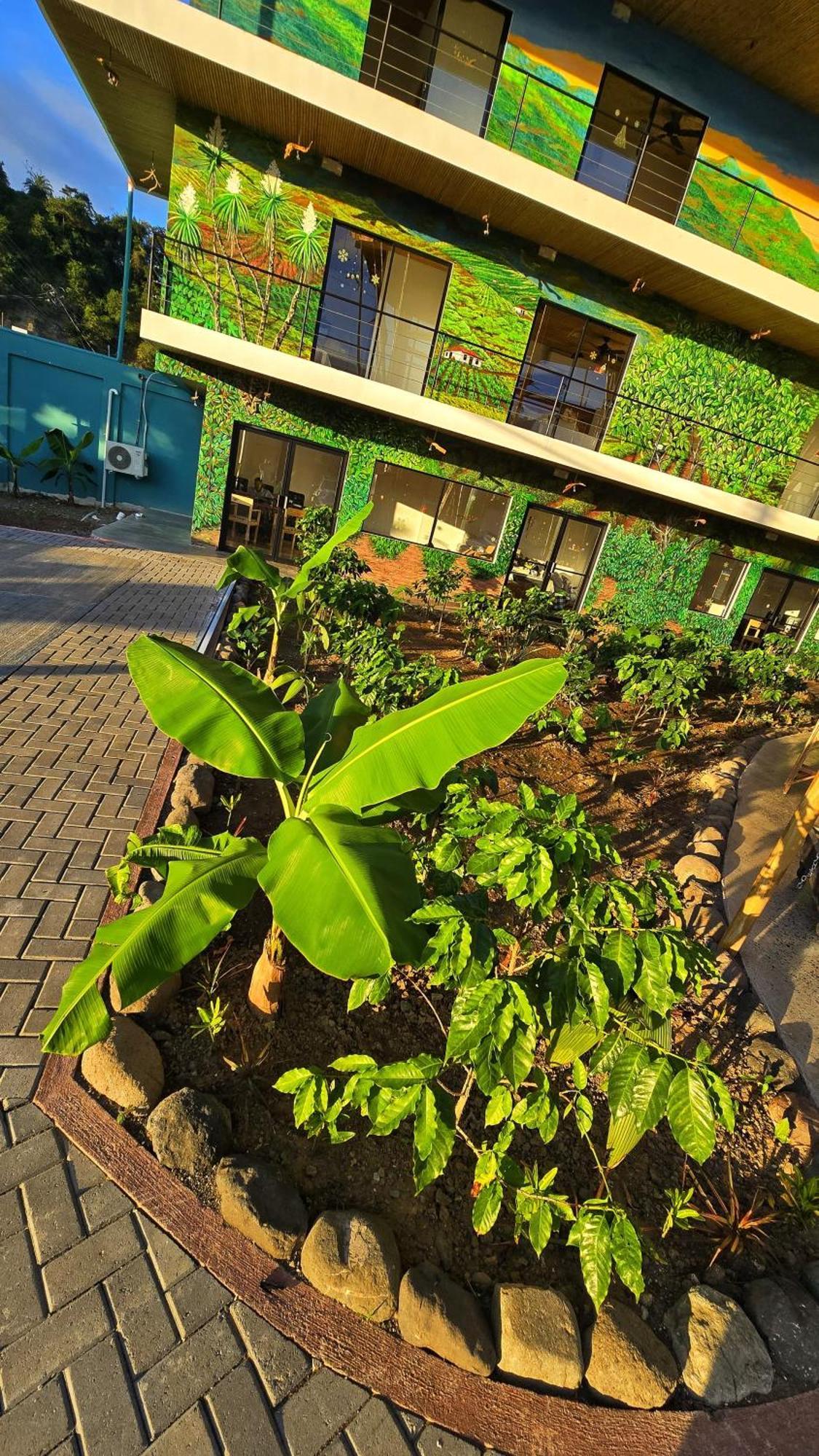 Bonding Coffee Roaster Cafe & Hotel Quepos Esterno foto