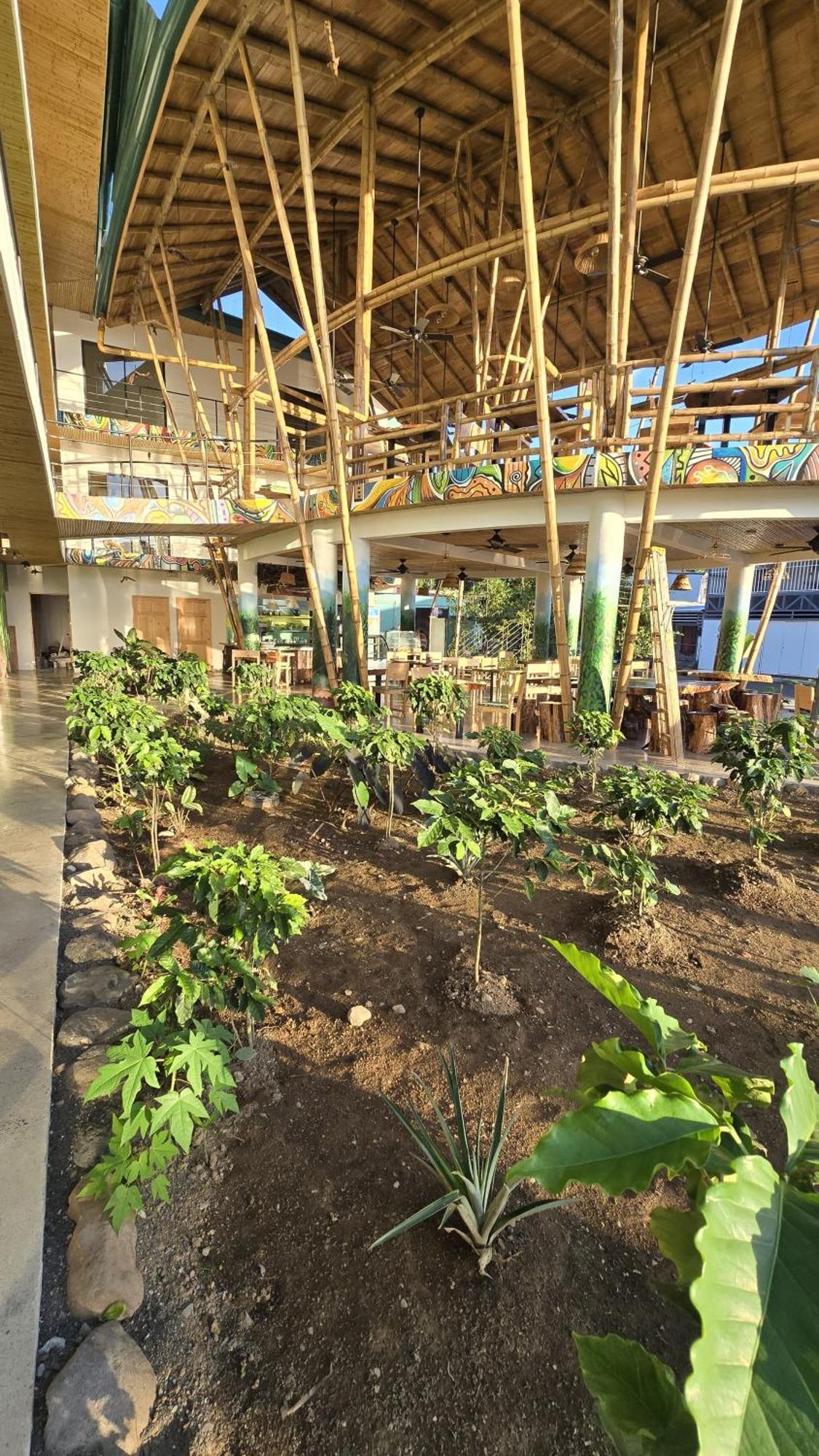 Bonding Coffee Roaster Cafe & Hotel Quepos Esterno foto