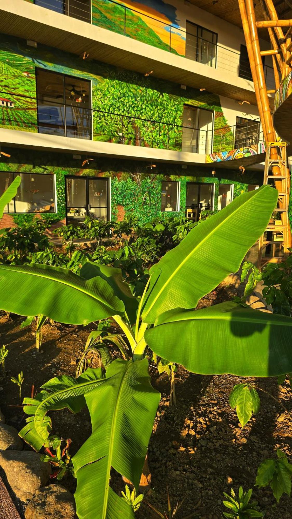 Bonding Coffee Roaster Cafe & Hotel Quepos Esterno foto